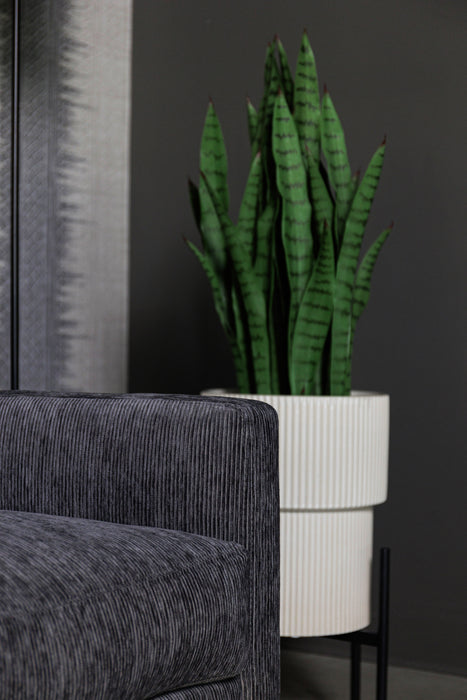 /Dark Grey Corduroy